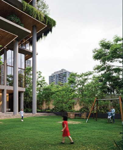 Play Field