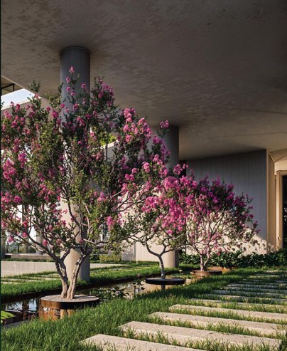 Landscaped Garden